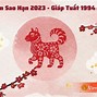 Tử Vi Tuổi Giáp Tuất Nam Mạng 1994 Năm 2025